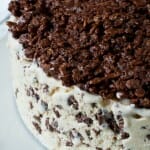 Nutella Crunch Ice Cream Cake - A Family Feast