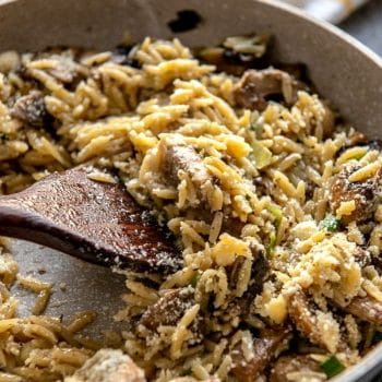 Orzo with Mushrooms, Scallions and Parmesan