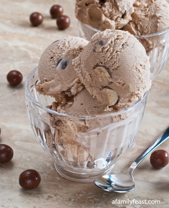 Chocolate Malted Ice Cream - A Family Feast