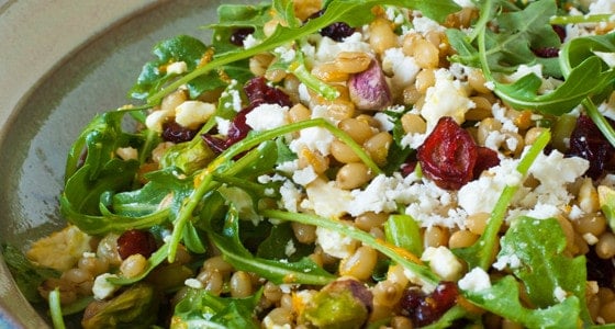 Wheatberry Salad with Cranberries, Feta and Orange Citronette - A Family Feast