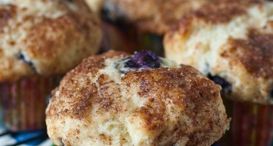 Blueberry Cream Cheese Muffins - 25+ Best Blueberry Recipes