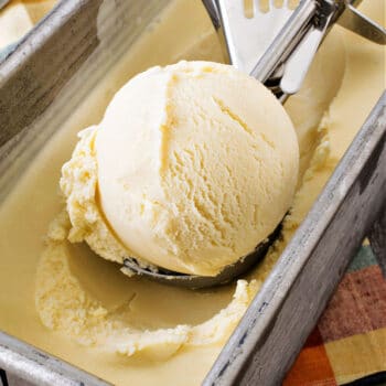 The Best Vanilla Ice Cream