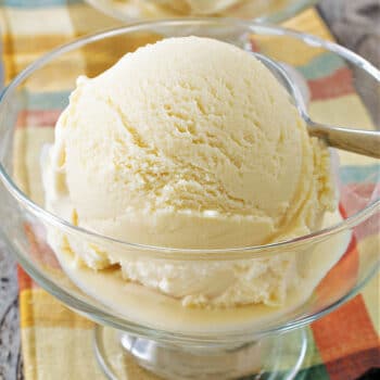 The Best Vanilla Ice Cream
