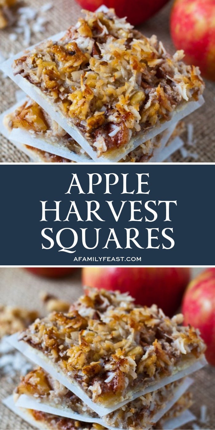 Apple Harvest Squares 