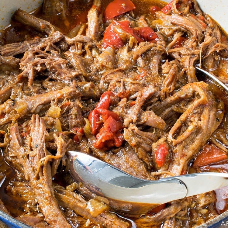 Mexican Shredded Beef