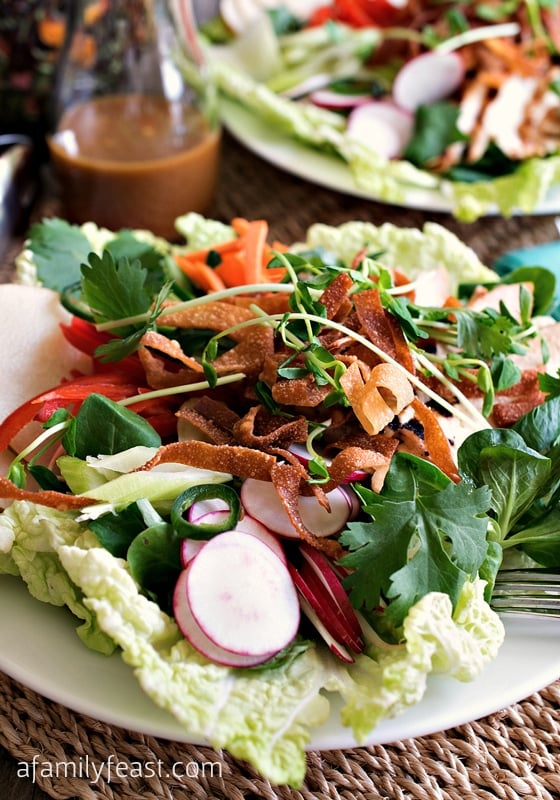 This Asian Chicken Salad is full of tender grilled chicken, fresh, crisp vegetables and has the most fantastic Asian Citrus Dressing! So delicious!