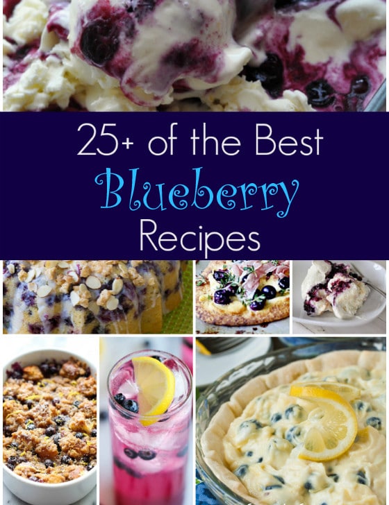 25+ Best Blueberry Recipes - A Family Feast
