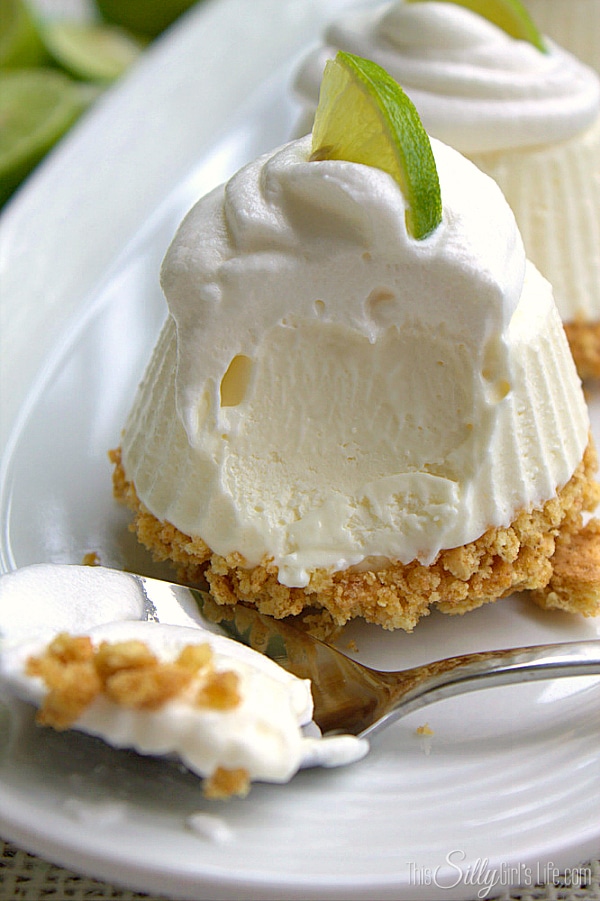 Individual Frozen Key Lime Pies - 30-Plus Fantastic Key Lime Recipes - A Family Feast