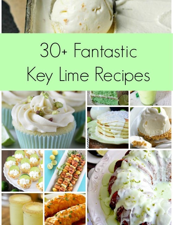 30+ Fantastic Key Lime Recipes - A Family Feast