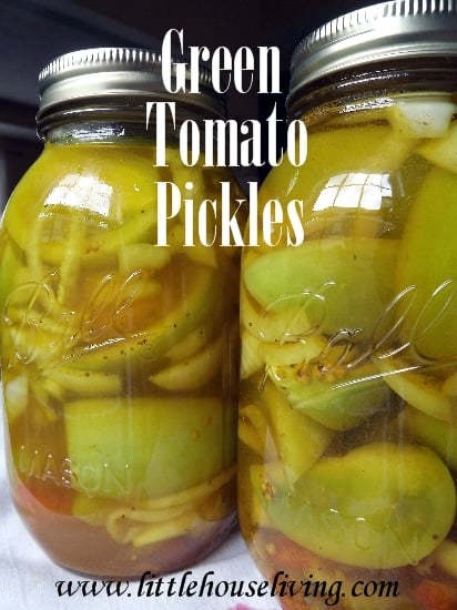 Green Tomato Pickles - Spicy Green Tomato Pickles - 30+ Recipes for Your Garden Tomatoes