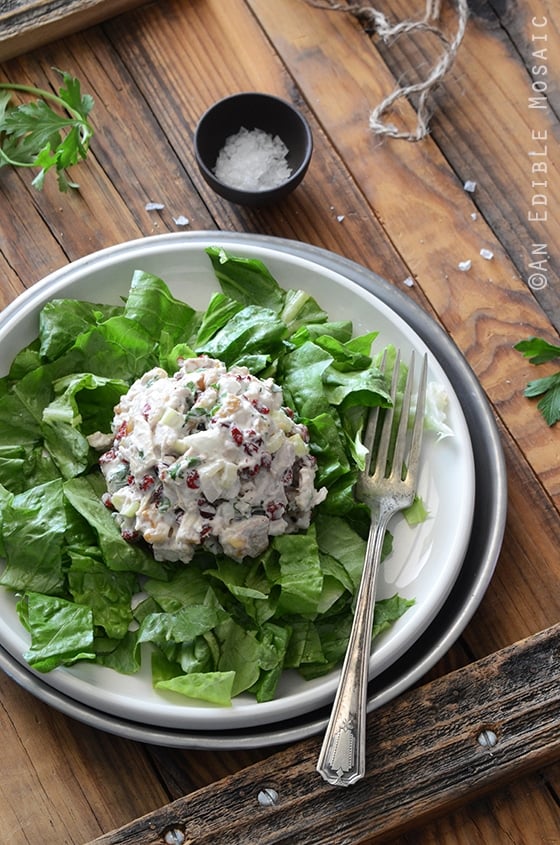 This Creamy Cranberry Walnut Chicken Salad from An Edible Mosaic is just one of over 20 delicious chicken salad recipes on A Family Feast