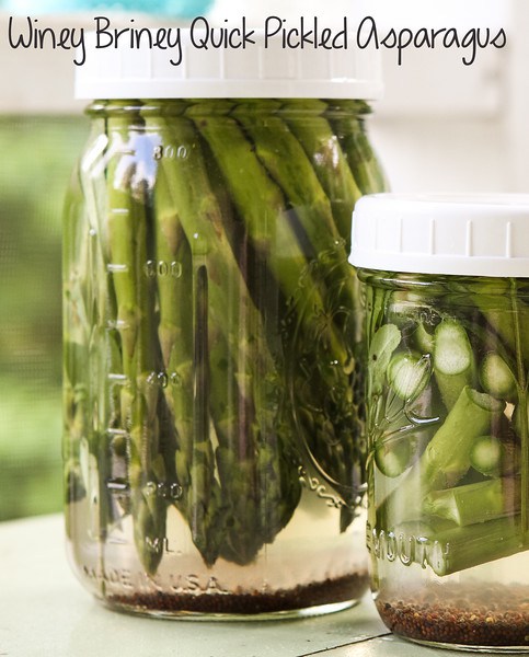 Quick Pickled Asparagus - One of over 30 Amazing Asparagus Recipes to give you cooking inspiration this Spring! See the collection on A Family Feast