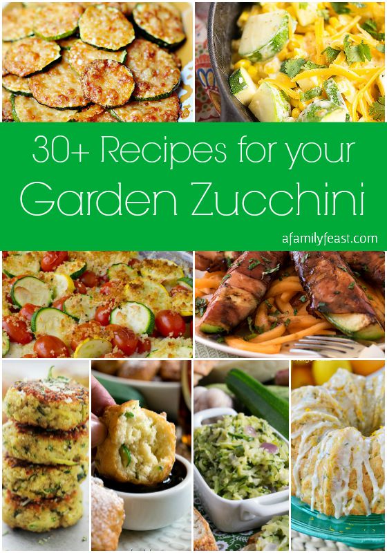 Zucchini Roundup Collage