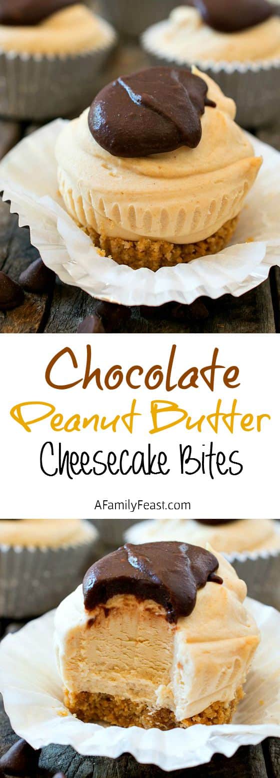 Chocolate Peanut Butter Cheesecake Bites - THIS is the dessert that everyone will keep talking about! So incredibly good!