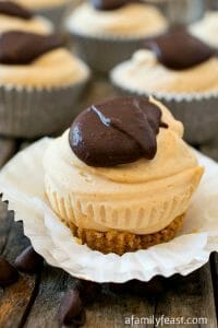 Chocolate Peanut Butter Cheesecake Bites - A Family Feast