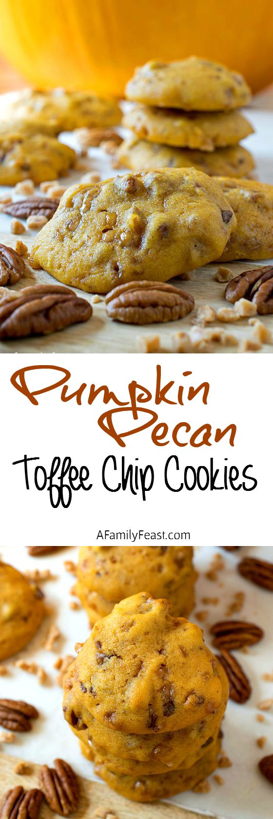 Pumpkin Pecan Toffee Chip Cookies - Soft, moist and cake-like cookies loaded with pecans and toffee bits! Incredible!