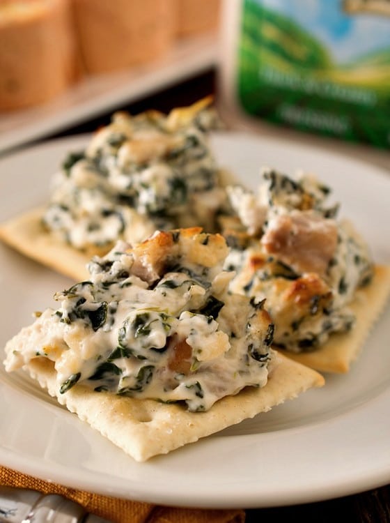 BLT Ranch Rollups & Baked Spinach and Chicken Dip (Family Night Appetizers) - A Family Feast