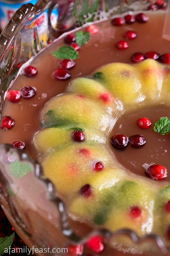 This Festive Pineapple Cranberry Punch is perfect for a holiday party! We also show you how to make a beautiful ice ring to keep your punch icy cold!