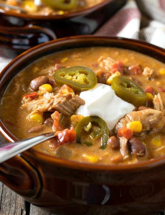 Slow Cooker Tex-Mex Chicken Stew - A Family Feast
