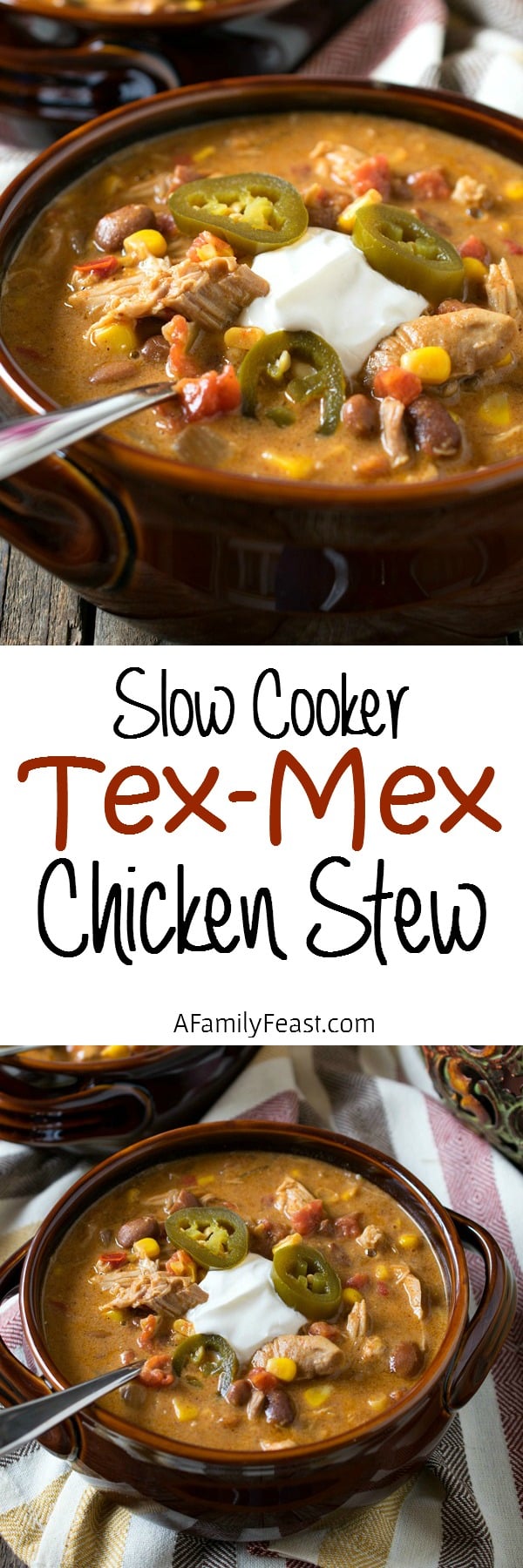 Slow Cooker Tex-Mex Chicken Stew - So easy to prepare and so delicious! Just pour the ingredients into your slow cooker and turn it on to cook!
