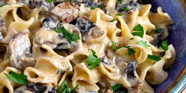 Noodles Romanoff with Mushrooms - A Family Feast