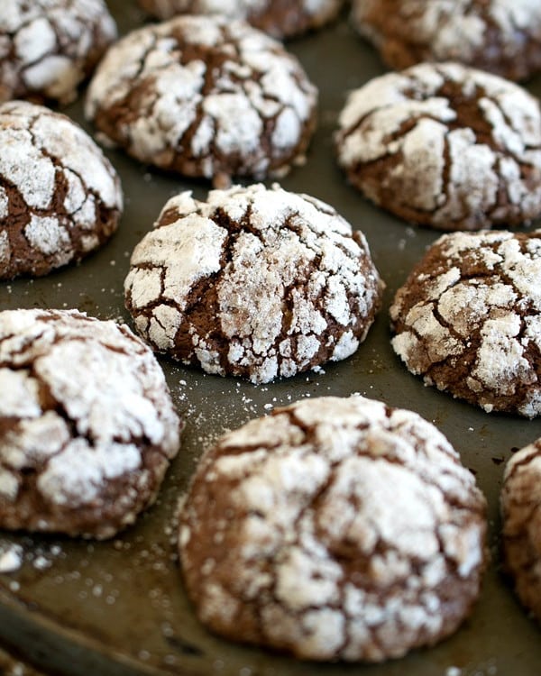 Chocolate Malted Crinkles - A Family Feast