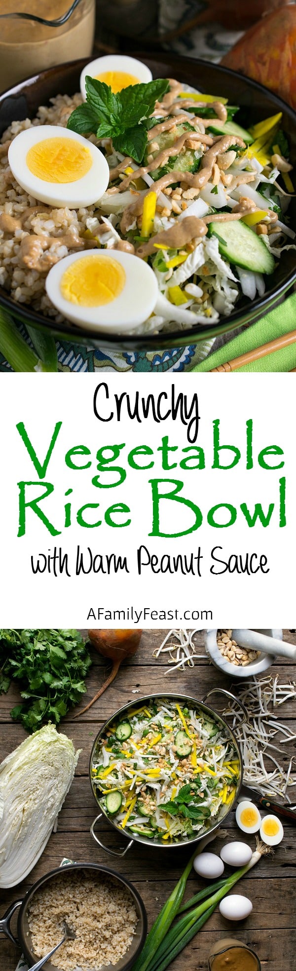 Crunchy Vegetable Rice Bowl with Warm Peanut Sauce - A healthy and delicious salad loaded with crisp vegetables, brown rice and a warm peanut sauce! Incredible!