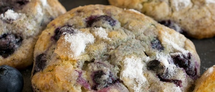 The Real Jordan Marsh Blueberry Muffins Recipe - A Family Feast