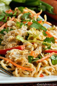 Thai Peanut Chicken Noodle Salad - A Family Feast