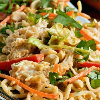 Thai Peanut Chicken Noodle Salad - A Family Feast