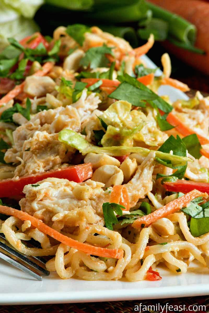 Thai Peanut Chicken Noodle Salad - A delicious, make ahead salad that is a filling meal in itself.