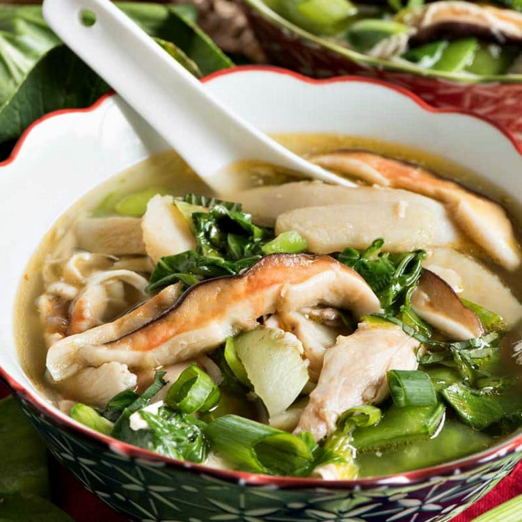 Asian Chicken Soup - A Family Feast