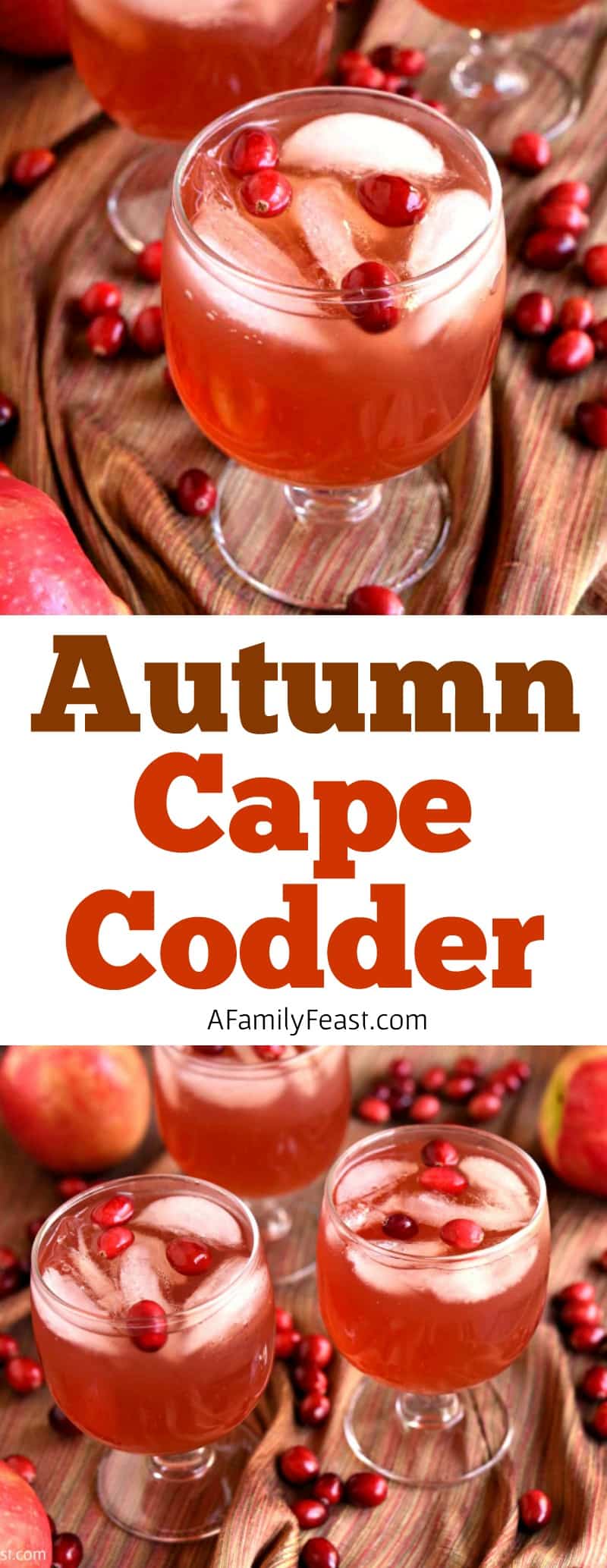 Our Autumn Cape Codder a classic cocktail updated with Fall flavors! Cranberry juice, vodka, apple cider, and apple liqueur plus fresh cranberries for garnish! (So good!)