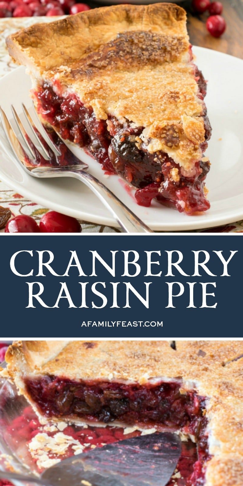 Cranberry Raisin Pie