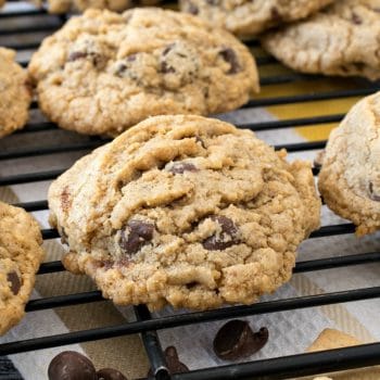 Graham Cracker Chocolate Chip Cookies