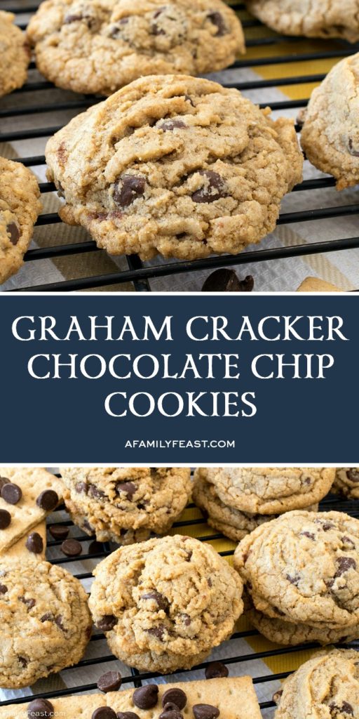 Graham Cracker Chocolate Chip Cookies A Family Feast®