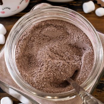 Homemade Hot Chocolate Mix