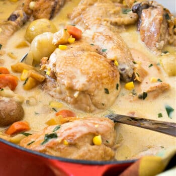 Farmer’s Chicken Stew