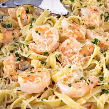 Shrimp Alfredo
