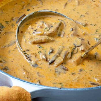 Hungarian Mushroom Soup - A Family Feast