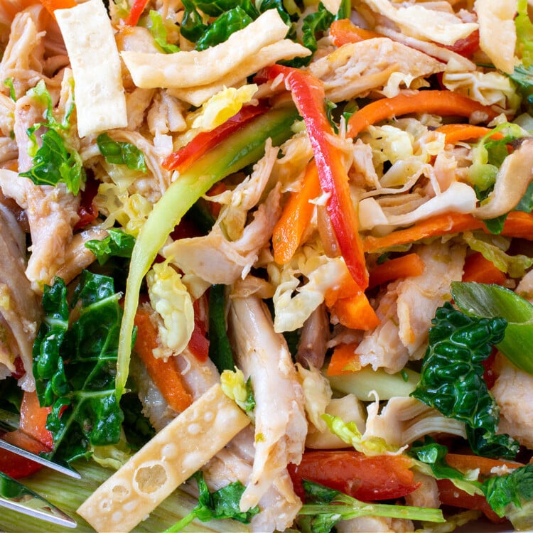 Thai Chicken Salad - A Family Feast