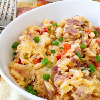 Cheesy Ham & Rice - A Family Feast
