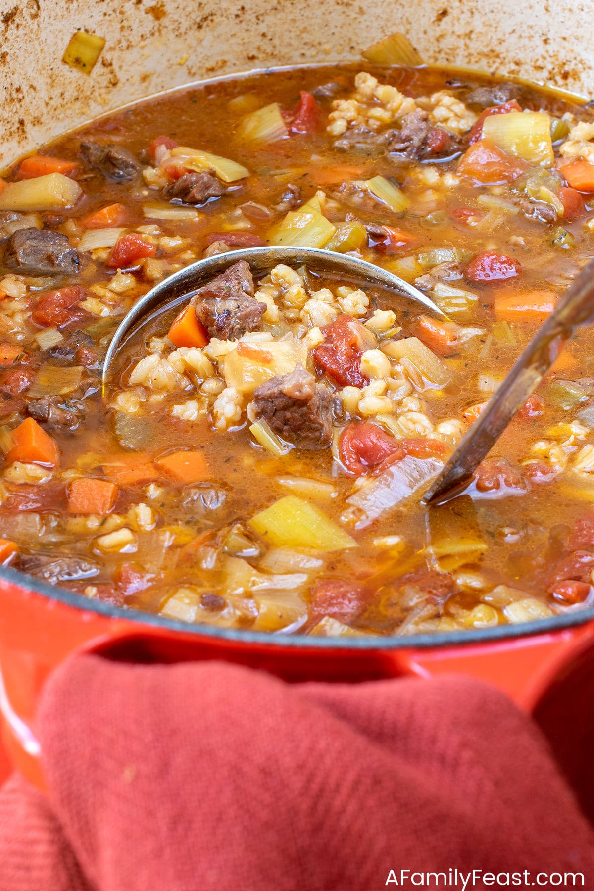 Beef Barley Soup - A Family Feast