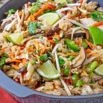 Chicken Fried Rice Salad - A Family Feast