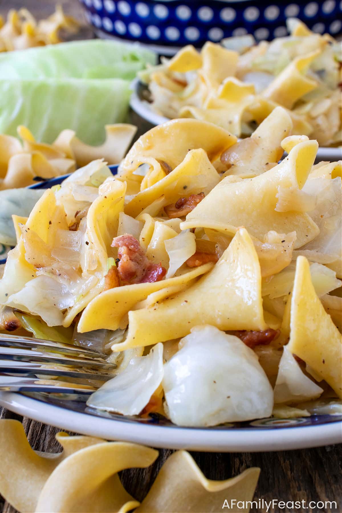 Haluski Fried Cabbage and Noodles - A Family Feast