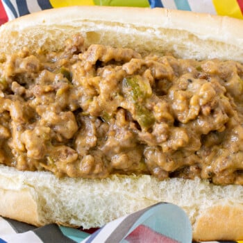 Cheesy Sloppy Joes - A Family Feast