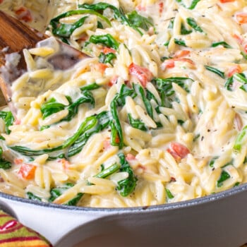 Creamy Parmesan Orzo with Spinach & Roasted Red Pepper - A Family Feast
