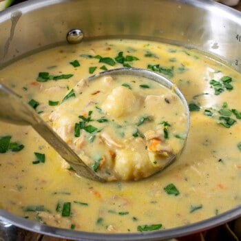 (Better Than Olive Garden) Chicken Gnocchi Soup - A Family Feast