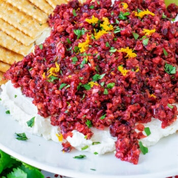 Cranberry Salsa - A Family Feast
