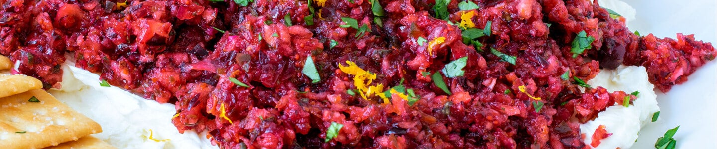 Cranberry Salsa - A Family Feast